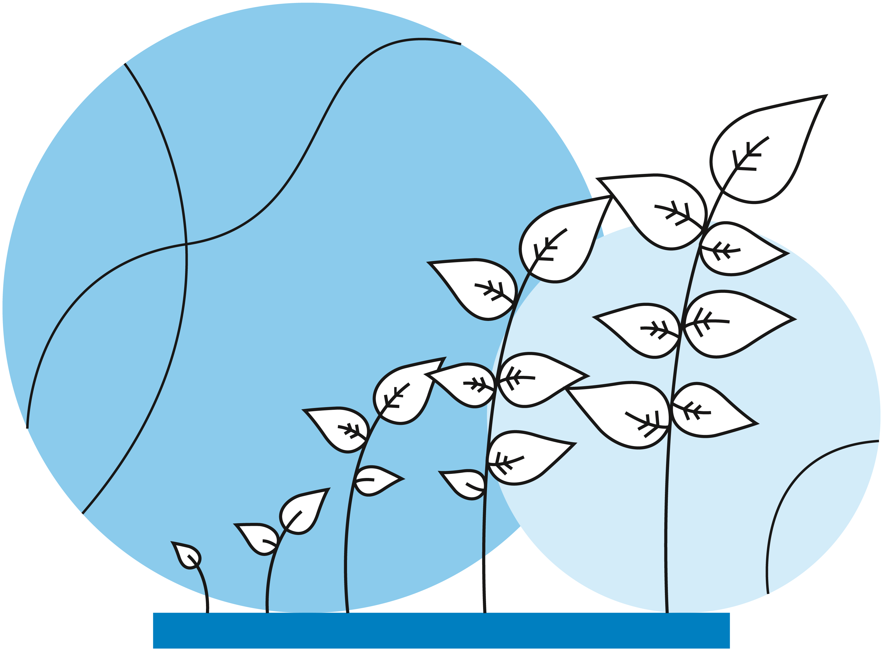 Home-page-performance-environnementale